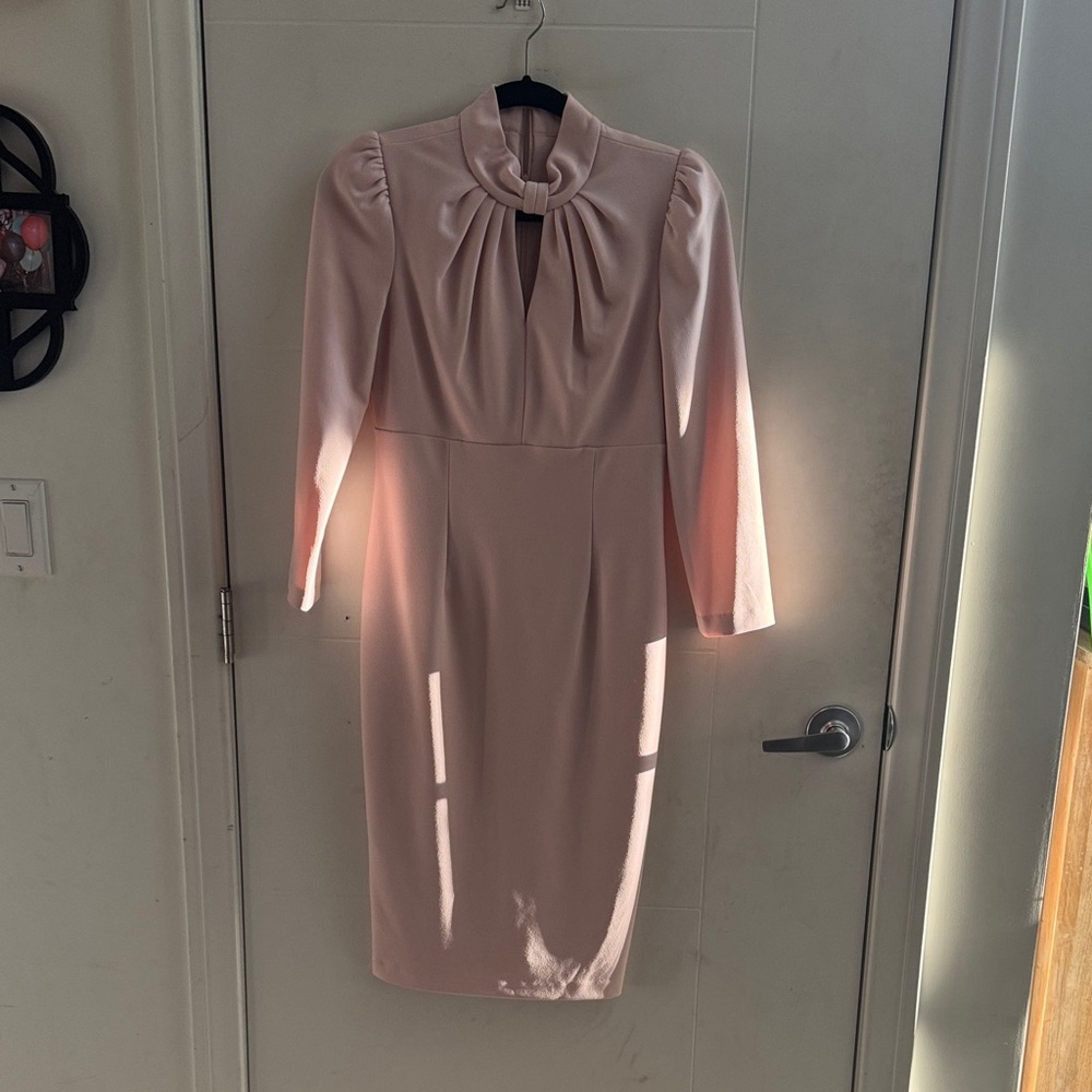 Calvin Klein Blush Long Sleeve Dress